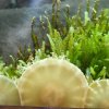 2006Aquarium_q